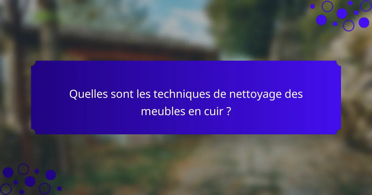 Quelles sont les techniques de nettoyage des meubles en cuir ?